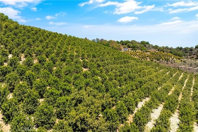 27 Vía Escalon, Temecula, CA 92590 - photo 7