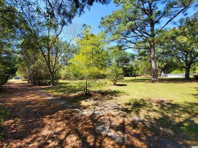 2830 Highway 545, Conway, SC 29526 - photo 2