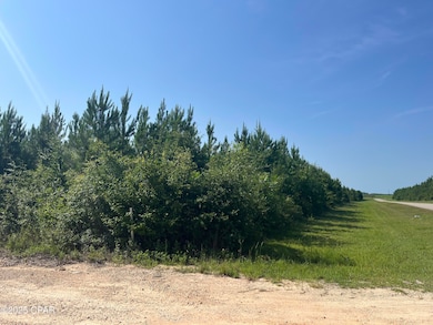 0 SE Nadine Stone Landing Rd, Kinard, FL 32449 - photo 3