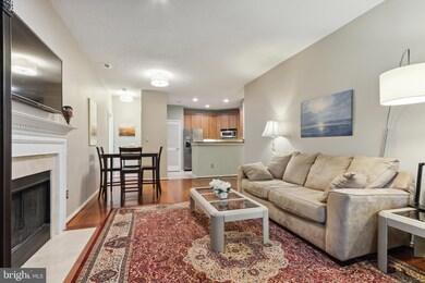 4412 Helmsford Ln unit 101, Fairfax, VA 22033 - photo 7