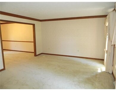 Living Room. Well lit Living Room with decorative 