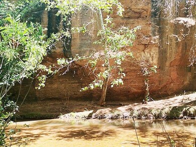 2137 N Flowing Springs Rd, Payson, AZ 85541 - photo 4