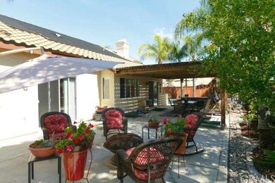 Back patio area