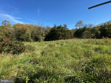 20616 Gleedsville Rd, Leesburg, VA 20175 - photo 6