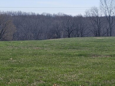 000 N Mm N, Mountain Grove, MO 65711 - photo 4