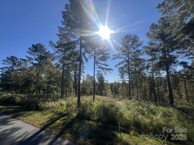 2478 Jumping Run unit 52, Connelly Springs, NC 28612 - photo 5