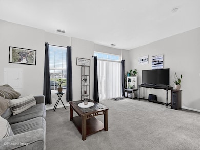 4533 Garritano St unit D, Yorkville, IL 60560 - photo 7