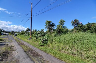 0 W Lanikaula St, Hilo, HI 96720 - photo 4
