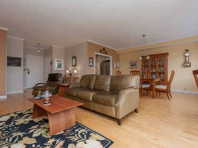 Imperial Towers unit 3, Chestnut Hill, MA 02467 - photo 5