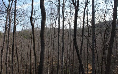 Additional View
