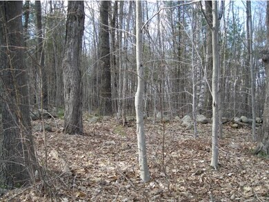 10-A-1.8 Atherton Hill, Chesterfield, NH 03462 - photo 2