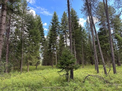 Nhn Montana 200, Trout Creek, MT 59874 - photo 6