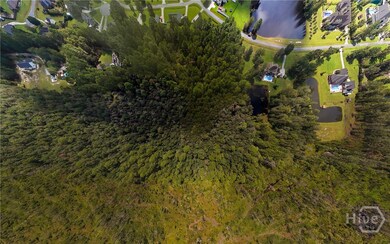 0 Hodgeville Rd unit SA339556, Guyton, GA 31312 - photo 6