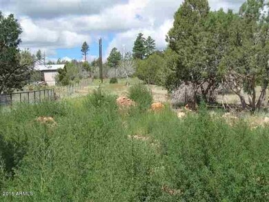 Pinedale land3
