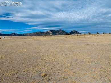 1496 Montezuma Rd, Hartsel, CO 80449 - photo 6