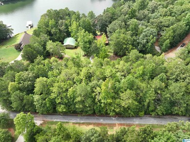 183 Swagg Cove Dr, Wedowee, AL 36278 - photo 6