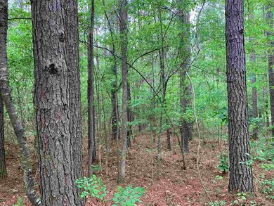 0 Palm Hill Rd unit 1340275, Brandon, MS 39042 - photo 4