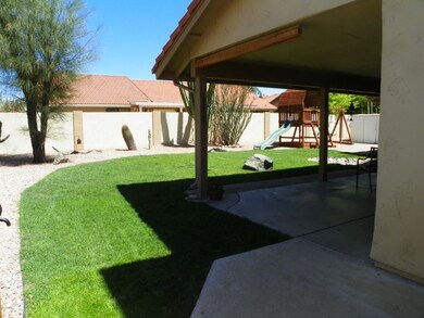 backyard 1