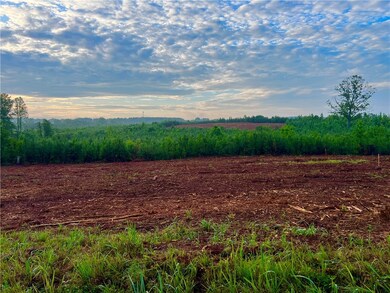 Lot 10 - 18 Pickens Dr, Pendleton, SC 29670 - photo 2