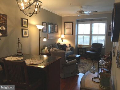 2520 Waterside Dr unit 402, Frederick, MD 21701 - photo 6