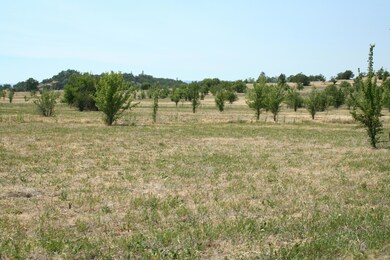 07-18-IMG_0722