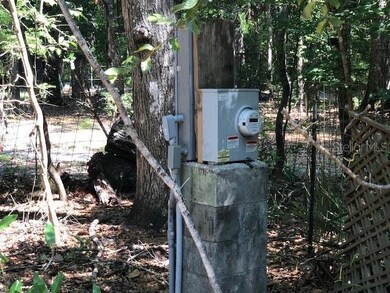 12539 NE 21st Terrace, Branford, FL 32008 - photo 7