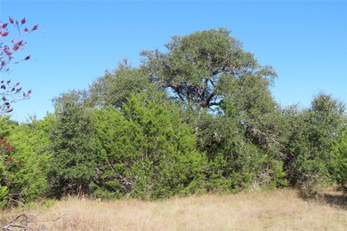 317 Little Gabriel River Dr, Liberty Hill, TX 78642 - photo 5