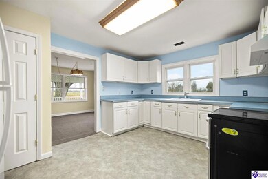 360 Stringtown Rd, Ekron, KY 40117 - photo 6