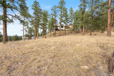 5236 Mountain Vista Ln unit 5, Evergreen, CO 80439 - photo 7