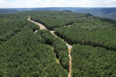 6-web-or-mls-DJI_0304