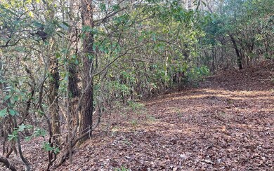 Additional View