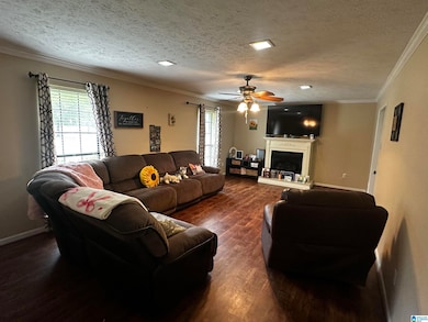 4 Carol Cove, Sylacauga, AL 35150 - photo 4