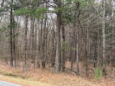 0 Martin Loop Rd, Siler City, NC 27344 - photo 4