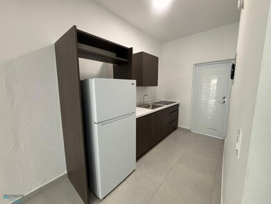 802 Calle Sanchez unit 1C, San Juan, PR 00909 - photo 3