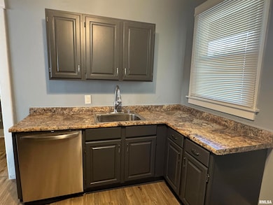 1013 E 6th St, Davenport, IA 52803 - photo 6