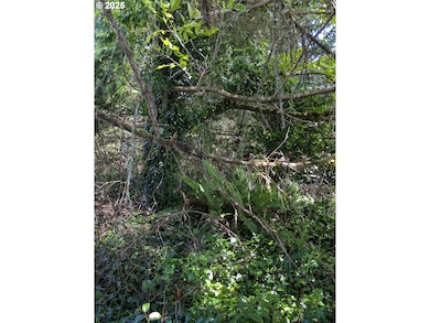 0 NE Rebel Rd, Waldport, OR 97394 - photo 4