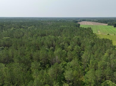 0 Mississippi 46 unit 25-1215, Mantee, MS 39751 - photo 7