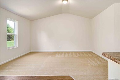 313 S Mulberry St, Statesville, NC 28677 - photo 4