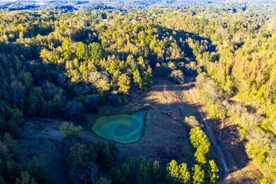 3345 Pigeon Roost Rd, Pulaski, TN 38478 - photo 6