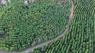 104 Gammage Rd, Pittsview, AL 36871 - photo 4