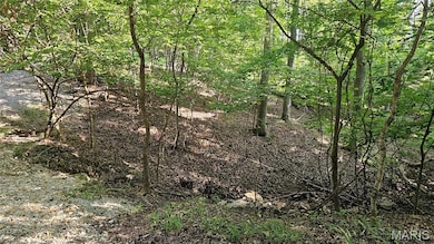 545 Friar Tuck Ct, Charrette Township, MO 63357 - photo 3