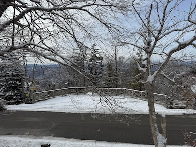 361 N Westridge Rd, Snowshoe, WV 24934 - photo 3