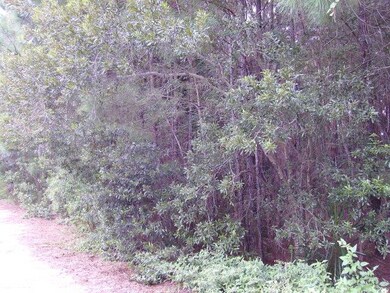 5 wooded lots