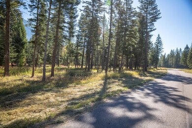 21 Lucky Ln, Columbia Falls, MT 59912 - photo 3