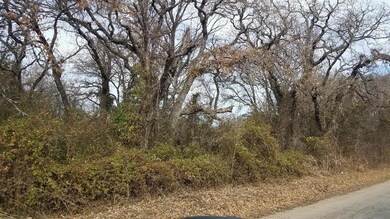 00000 Smith Rd Earp Rd, Springtown, TX 76082 - photo 7