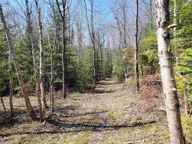 355 Marshall Hill Rd, Colebrook, NH 03576 - photo 3