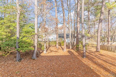 9142 Polo Pony Ct, Mechanicsville, VA 23116 - photo 6