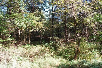 000 Friendship Rd, Statesville, NC 28625 - photo 5