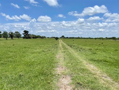 16620 Penick Rd, Waller, TX 77484 - photo 2