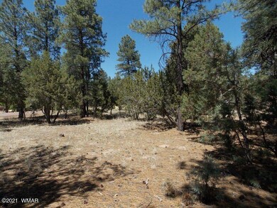 2859 Pine Rim (3)